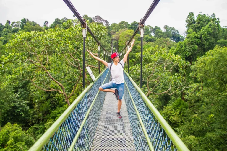 Tree Pose